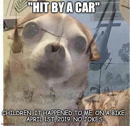 AH, WHY | "HIT BY A CAR"; CHILDREN, IT HAPPENED TO ME. ON A BIKE. 
APRIL 1ST, 2019. NO JOKES. | image tagged in ptsd chihuahua | made w/ Imgflip meme maker
