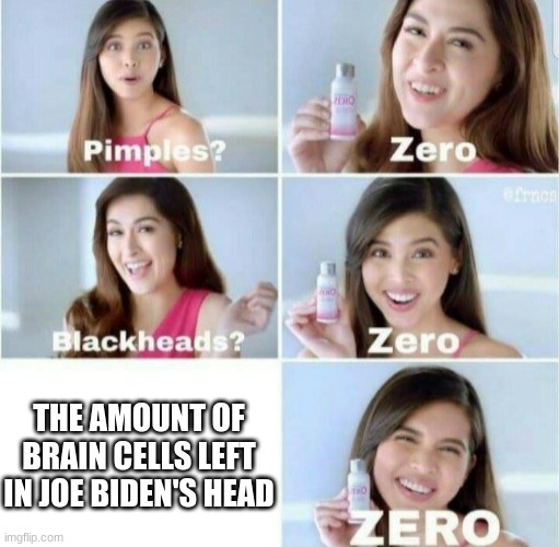 You can't tell me anything else | THE AMOUNT OF BRAIN CELLS LEFT IN JOE BIDEN'S HEAD | image tagged in pimples zero | made w/ Imgflip meme maker