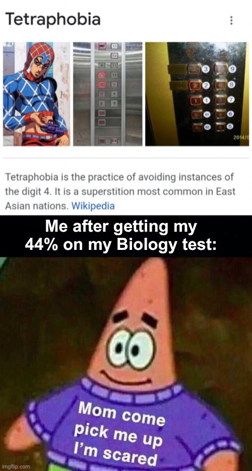 I think I have tetraphobia | Me after getting my 44% on my Biology test: | image tagged in patrick mom come pick me up i'm scared,memes,unfunny | made w/ Imgflip meme maker
