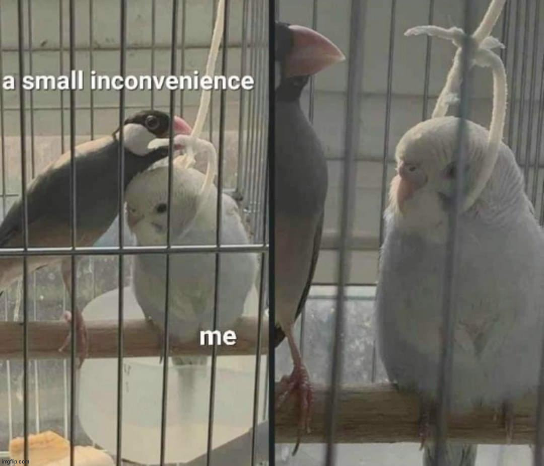 image tagged in dark humor | made w/ Imgflip meme maker