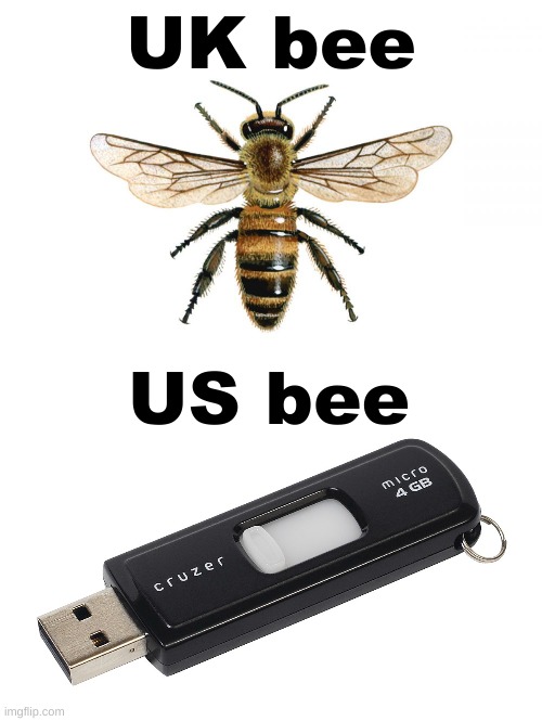 UK bee; US bee | made w/ Imgflip meme maker