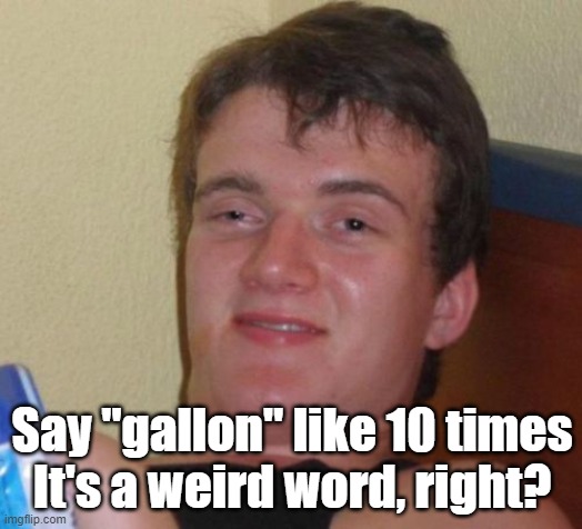 10 Guy Meme | Say "gallon" like 10 times
It's a weird word, right? | image tagged in memes,10 guy | made w/ Imgflip meme maker