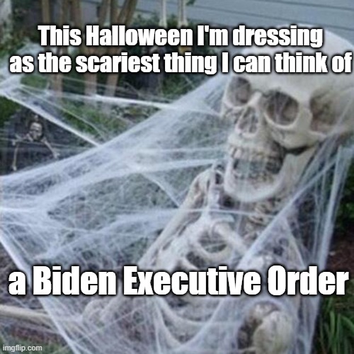 biden executive order | This Halloween I'm dressing
as the scariest thing I can think of; a Biden Executive Order | image tagged in skeleton with spider web | made w/ Imgflip meme maker