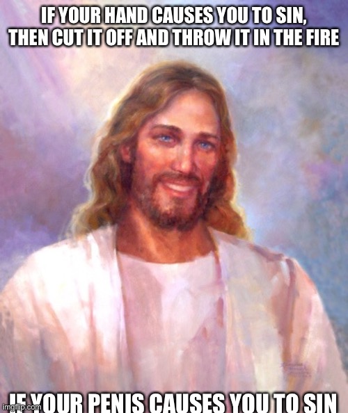 Smiling Jesus Meme | IF YOUR HAND CAUSES YOU TO SIN, THEN CUT IT OFF AND THROW IT IN THE FIRE; IF YOUR PENIS CAUSES YOU TO SIN | image tagged in memes,smiling jesus | made w/ Imgflip meme maker