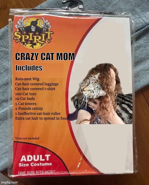 Crazy Cat Mom Costume | CRAZY CAT MOM; Includes:; Rats-nest Wig
Cat-hair covered leggings
Cat-hair covered t-shirt
100 Cat toys
10 Cat beds
5 Cat towers
2 Pounds catnip
1 Ineffective cat-hair roller
Extra cat hair to spread in food; *Cats not included | image tagged in spirit halloween | made w/ Imgflip meme maker