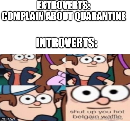 Quarantine gets extended: | EXTROVERTS: COMPLAIN ABOUT QUARANTINE; INTROVERTS: | image tagged in blank white template,shut up you hot belgain waffle | made w/ Imgflip meme maker