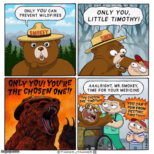 Mr. Smokey | image tagged in mr smokey,bear,forest,fire,comics,comics/cartoons | made w/ Imgflip meme maker