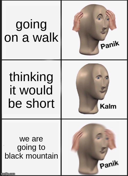 literally me | going on a walk; thinking it would be short; we are going to black mountain | image tagged in memes,panik kalm panik | made w/ Imgflip meme maker