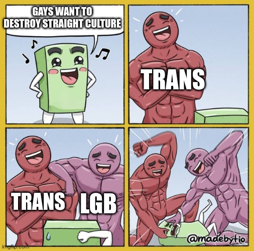 Guy getting beat up | GAYS WANT TO DESTROY STRAIGHT CULTURE; TRANS; TRANS; LGB | image tagged in guy getting beat up | made w/ Imgflip meme maker