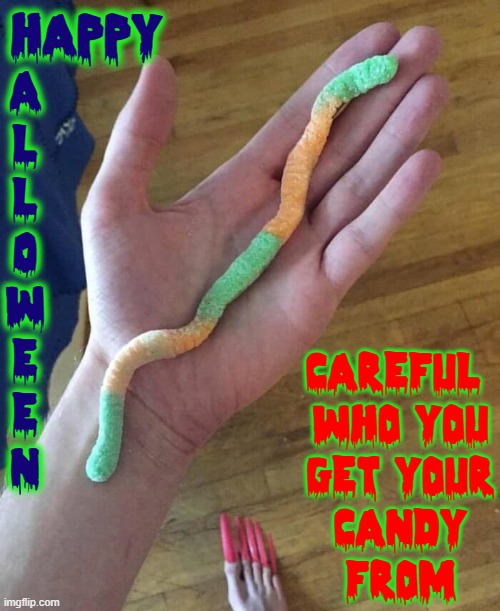 Flippers, Be Careful Who You Get Your Candy From! | HAPPY; A
L
L
0
W
E
E
N; CAREFUL 
WHO YOU
GET YOUR
CANDY
FROM | image tagged in vince vance,toenails,happy halloween,scary memes,witches,trick or treat | made w/ Imgflip meme maker