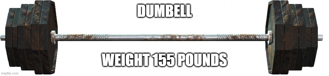 Big Dumbell | DUMBELL; WEIGHT 155 POUNDS | image tagged in big dumbell | made w/ Imgflip meme maker