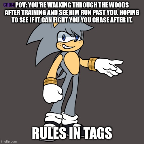 Battle RP | POV: YOU'RE WALKING THROUGH THE WOODS AFTER TRAINING AND SEE HIM RUN PAST YOU. HOPING TO SEE IF IT CAN FIGHT YOU YOU CHASE AFTER IT. RULES IN TAGS | image tagged in no op ocs,no joke ocs,no military ocs,ocs with powers requested,no killing him,sonic ocs aren't needed | made w/ Imgflip meme maker