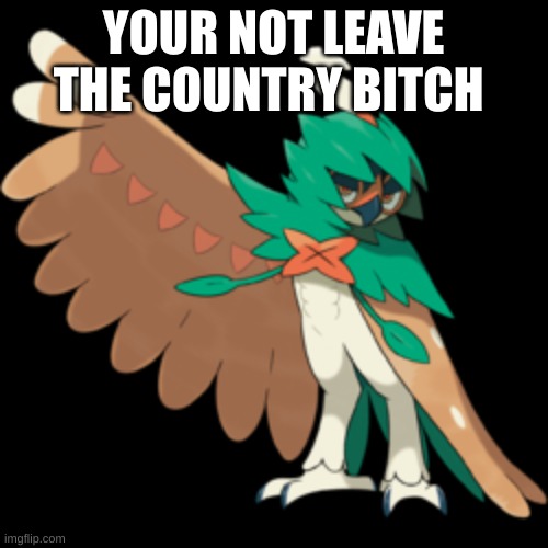 Decidueye | YOUR NOT LEAVE THE COUNTRY BITCH | image tagged in decidueye | made w/ Imgflip meme maker