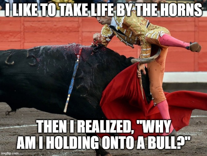 Bullfighter getting gored in crotch | I LIKE TO TAKE LIFE BY THE HORNS; THEN I REALIZED, "WHY AM I HOLDING ONTO A BULL?" | image tagged in bullfighter getting gored in crotch | made w/ Imgflip meme maker