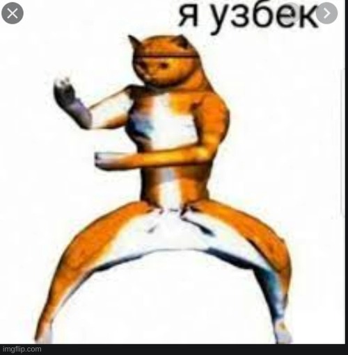 The teacher: You can't hear pictures! Russian 3d model of a cat: | made w/ Imgflip meme maker