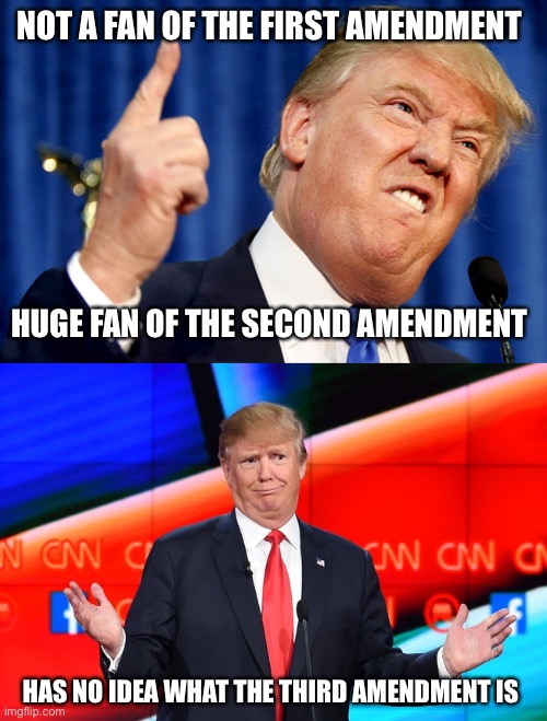 NOT A FAN OF THE FIRST AMENDMENT; HUGE FAN OF THE SECOND AMENDMENT; HAS NO IDEA WHAT THE THIRD AMENDMENT IS | image tagged in donald trump,donald trump confused | made w/ Imgflip meme maker