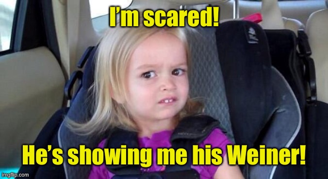 wtf girl | I’m scared! He’s showing me his Weiner! | image tagged in wtf girl | made w/ Imgflip meme maker