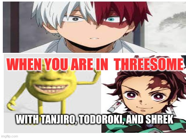 ANIME AND SHREK LOVERS ATTENTION | WHEN YOU ARE IN  THREESOME; WITH TANJIRO, TODOROKI, AND SHREK | image tagged in shrek,anime,demon slayer,my hero academia,funny | made w/ Imgflip meme maker