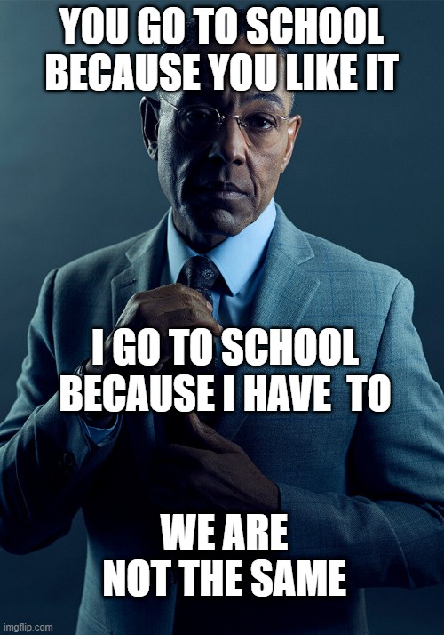 Gus Fring we are not the same | YOU GO TO SCHOOL BECAUSE YOU LIKE IT; I GO TO SCHOOL BECAUSE I HAVE  TO; WE ARE NOT THE SAME | image tagged in gus fring we are not the same | made w/ Imgflip meme maker