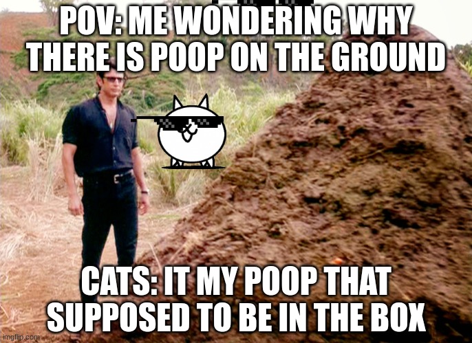 Memes, Poop, Jurassic Park | POV: ME WONDERING WHY THERE IS POOP ON THE GROUND; CATS: IT MY POOP THAT SUPPOSED TO BE IN THE BOX | image tagged in memes poop jurassic park | made w/ Imgflip meme maker