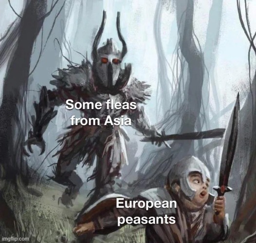 That Black Death | image tagged in history memes | made w/ Imgflip meme maker