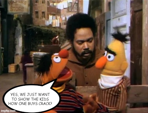 I Didn't Learn that on Sesame Street | YES, WE JUST WANT TO SHOW THE KIDS HOW ONE BUYS CRACK? | image tagged in dark humor | made w/ Imgflip meme maker