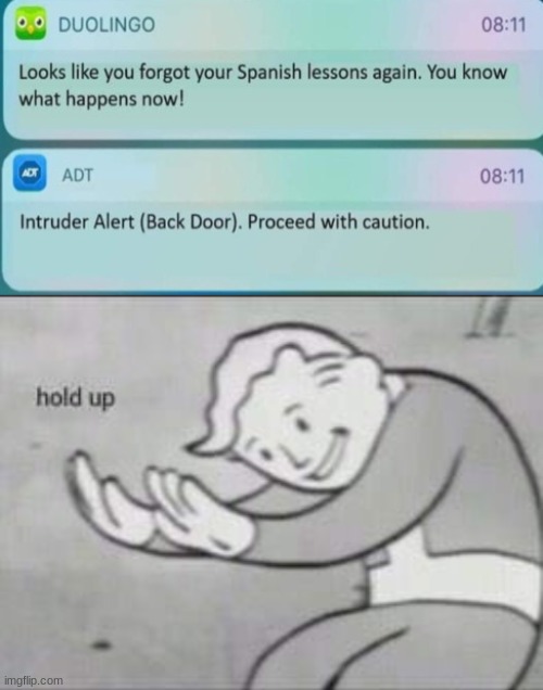 Excuse me WHAT? | image tagged in fallout hold up,duolingo,memes,why are you reading this,lol,funny | made w/ Imgflip meme maker