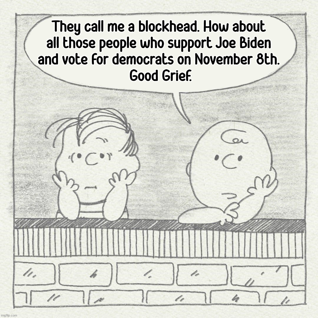 Peanuts | They call me a blockhead. How about 
all those people who support Joe Biden 
and vote for democrats on November 8th. 
Good Grief. | image tagged in peanuts,political meme | made w/ Imgflip meme maker