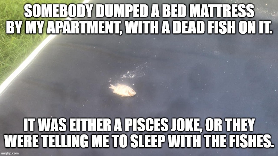 And it was there for like a week before the designated apt people got it. | SOMEBODY DUMPED A BED MATTRESS BY MY APARTMENT, WITH A DEAD FISH ON IT. IT WAS EITHER A PISCES JOKE, OR THEY WERE TELLING ME TO SLEEP WITH THE FISHES. | image tagged in pisces,zodiac,zodiac signs,sleep,fish,apartment | made w/ Imgflip meme maker