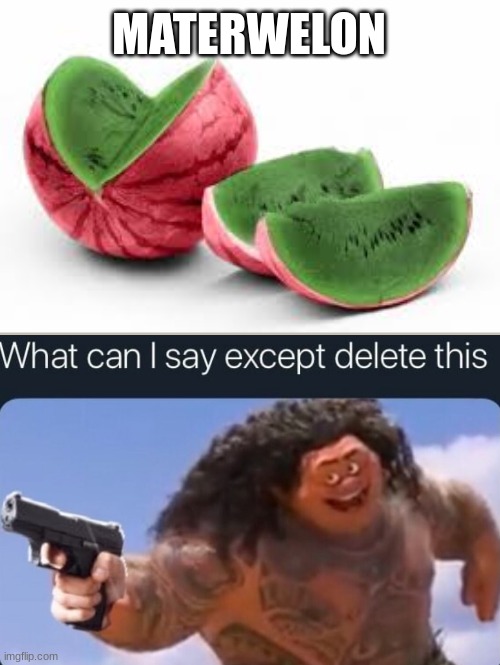 WHAT CAN I SAY EXCEPT DELETE THIS |  MATERWELON | image tagged in materwelon,maui,what can i say except delete this,moana,watermelon,delete this | made w/ Imgflip meme maker