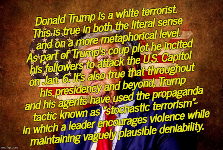 ORANGE WHITE TERRORIST SCUM | Donald Trump is a white terrorist.
This is true in both the literal sense
and on a more metaphorical level.
As part of Trump's coup plot he incited
his followers to attack the U.S. Capitol
on Jan. 6. It's also true that throughout
his presidency and beyond, Trump
and his agents have used the propaganda
tactic known as "stochastic terrorism"-
in which a leader encourages violence while
maintaining vaguely plausible deniability. | image tagged in seditous,traitor,treason,weasel,noose,swing | made w/ Imgflip meme maker