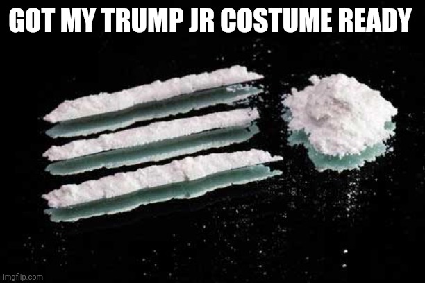 cocaine lines | GOT MY TRUMP JR COSTUME READY | image tagged in cocaine lines | made w/ Imgflip meme maker