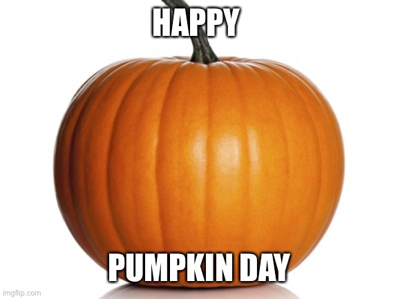 pumpkin | HAPPY; PUMPKIN DAY | image tagged in pumpkin | made w/ Imgflip meme maker