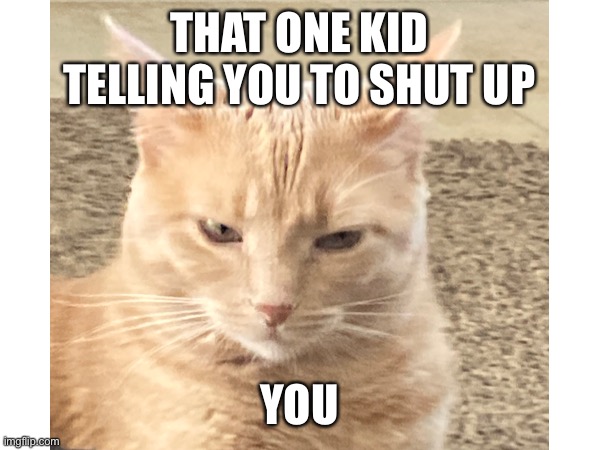 Meme made with Lucas! |  THAT ONE KID TELLING YOU TO SHUT UP; YOU | image tagged in cats are awesome,cats,cat,funny cat memes | made w/ Imgflip meme maker