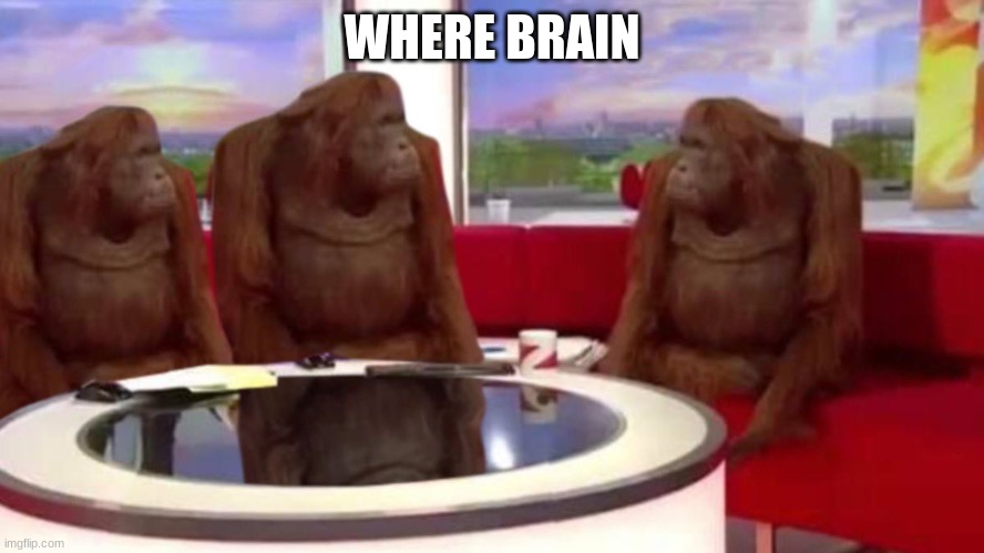 orangutan interview | WHERE BRAIN | image tagged in orangutan interview | made w/ Imgflip meme maker