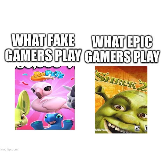 Gamers play good games | WHAT FAKE GAMERS PLAY; WHAT EPIC GAMERS PLAY | image tagged in gamers | made w/ Imgflip meme maker