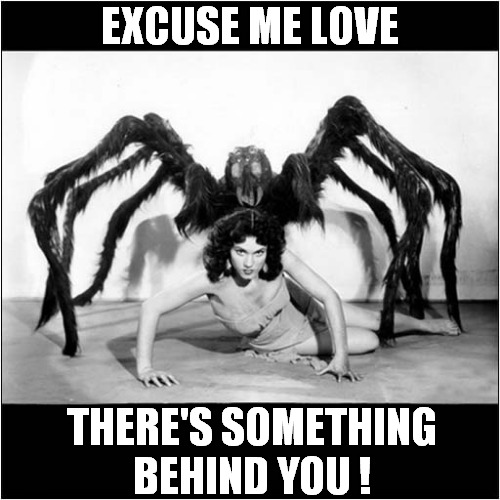 That's A Big Spider ! | EXCUSE ME LOVE; THERE'S SOMETHING
BEHIND YOU ! | image tagged in fun,spider,it's behind you | made w/ Imgflip meme maker