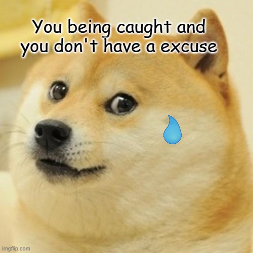 Oh-no | You being caught and you don't have a excuse | image tagged in memes,doge | made w/ Imgflip meme maker