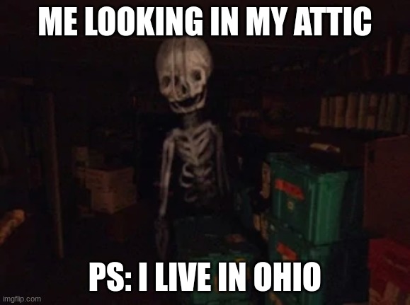 PS: i don't actually live in Ohio | ME LOOKING IN MY ATTIC; PS: I LIVE IN OHIO | image tagged in bonesworth | made w/ Imgflip meme maker