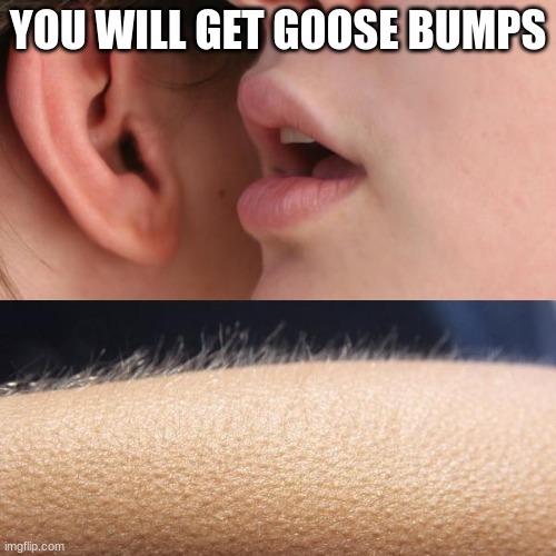 insert title here |  YOU WILL GET GOOSE BUMPS | image tagged in whisper and goosebumps | made w/ Imgflip meme maker