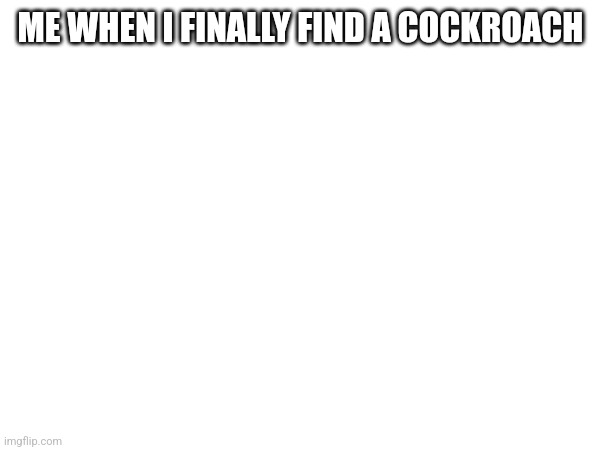 ME WHEN I FINALLY FIND A COCKROACH | made w/ Imgflip meme maker
