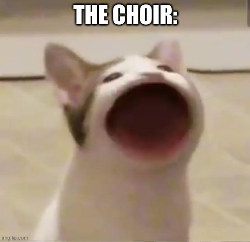 Pop Cat | THE CHOIR: | image tagged in pop cat | made w/ Imgflip meme maker