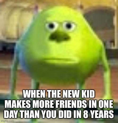 It was probably one of us | WHEN THE NEW KID MAKES MORE FRIENDS IN ONE DAY THAN YOU DID IN 8 YEARS | image tagged in sully wazowski | made w/ Imgflip meme maker