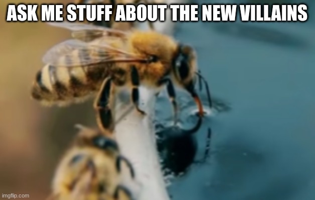 british bee | ASK ME STUFF ABOUT THE NEW VILLAINS | image tagged in british bee | made w/ Imgflip meme maker