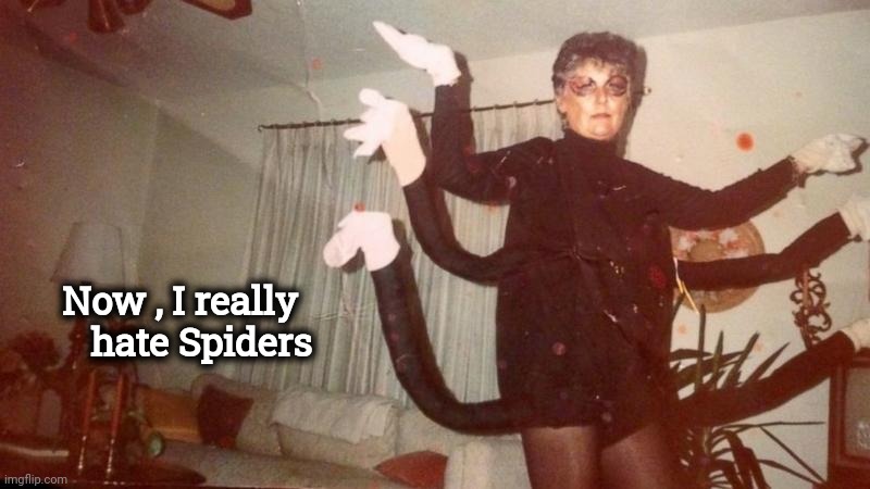 Halloween gone wrong | Now , I really
       hate Spiders | image tagged in scary,spiders,well yes but actually no,nice try not,costume fail | made w/ Imgflip meme maker