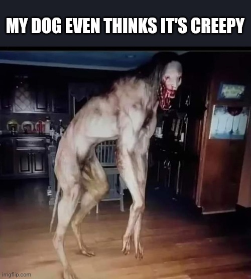 MY DOG EVEN THINKS IT'S CREEPY | made w/ Imgflip meme maker