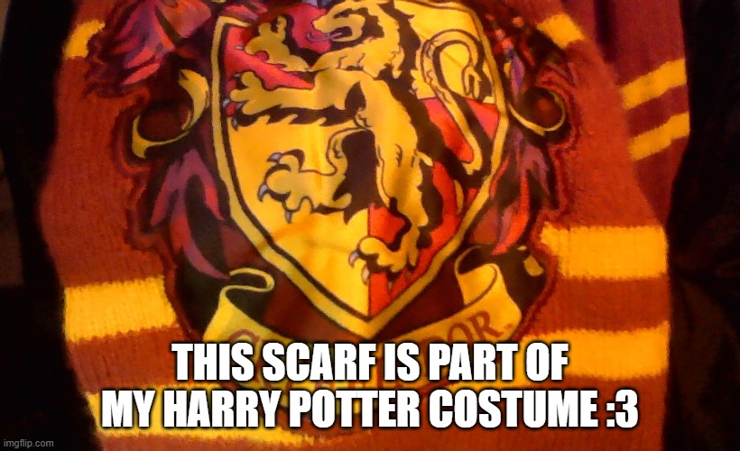 yay, Harry Potter (i took this at home lol) | THIS SCARF IS PART OF MY HARRY POTTER COSTUME :3 | image tagged in halloween,costume | made w/ Imgflip meme maker