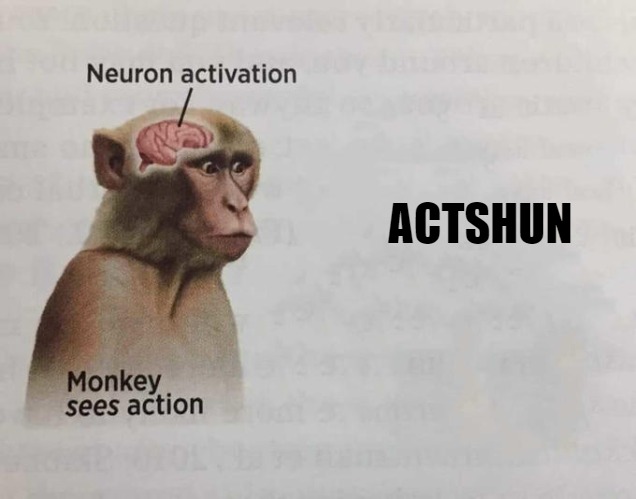 THATS WHY ITS CALLED MONKEY SEE MONKEY DO | ACTSHUN | image tagged in monkey sees action,meme | made w/ Imgflip meme maker