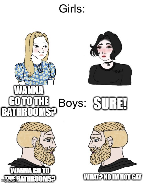 Boys girls | SURE! WANNA GO TO THE BATHROOMS? WANNA GO TO THE BATHROOMS? WHAT? NO IM NOT GAY | image tagged in boys girls | made w/ Imgflip meme maker