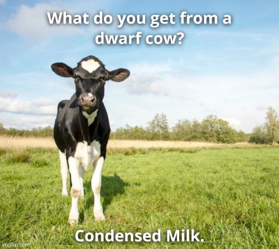 Little cows | image tagged in milk,cow,dwarf,condensed | made w/ Imgflip meme maker